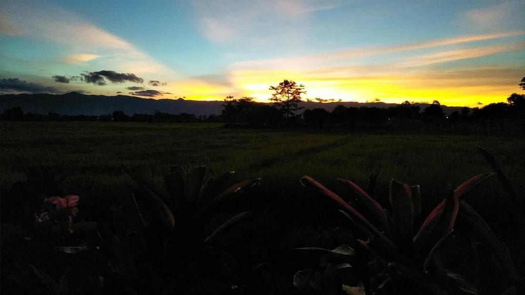 Oui Kaew Homestay Phayao Exterior photo